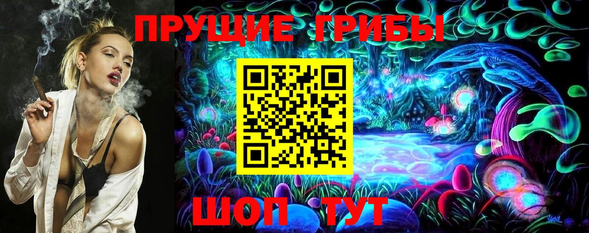 Оренбург  Галлюциногенные грибы Psilocybine cubensis  Псилоцибиновые грибы Psilocybine cubensis  Вход с VPN 